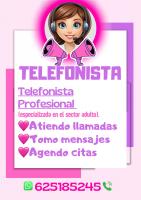 625185245: Chica busca chico en Toledo