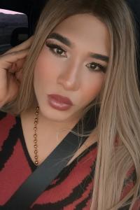 Travesti en Barcelona: 