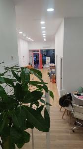 664446999: Chica busca chico en Madrid