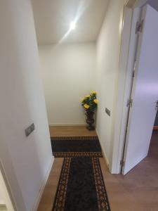 625337813:  en Lérida