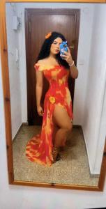 Travesti en Alicante: 