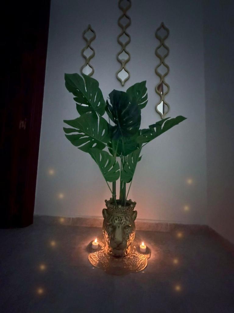 603213812: Chica busca chico en Ciudad Real