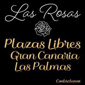 641885390:  en Las Palmas