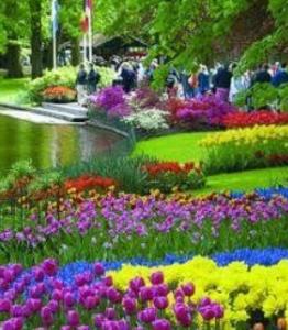 614550472:  en La Rioja