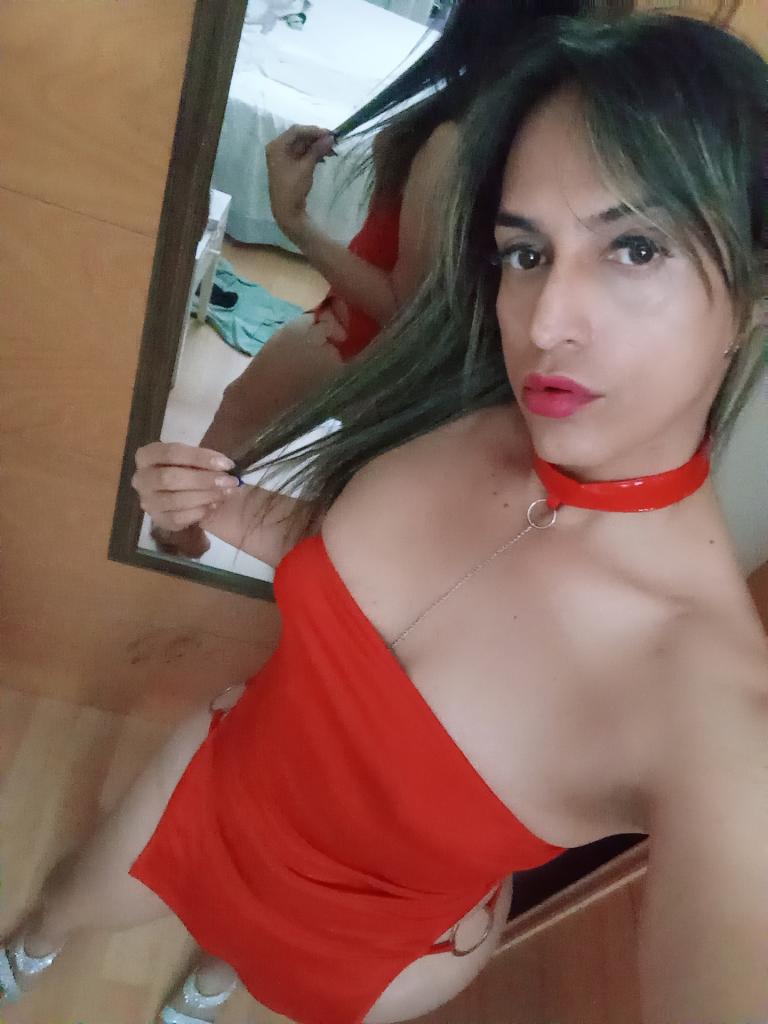 Transexual en Guipúzcoa: Transexuales y Travestis