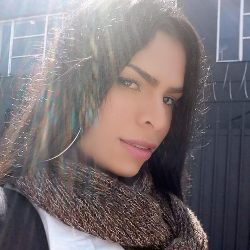 Transexual en Guipúzcoa: Transexuales y Travestis