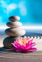 688394537:  en Madrid