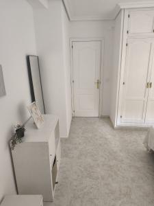 668564113:  en Cádiz