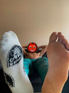 Virtual en Guipúzcoa: 