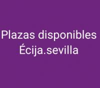 698405386:  en Cádiz