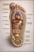 622302111: Chica busca chico en Alicante