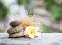 688394537:  en Madrid