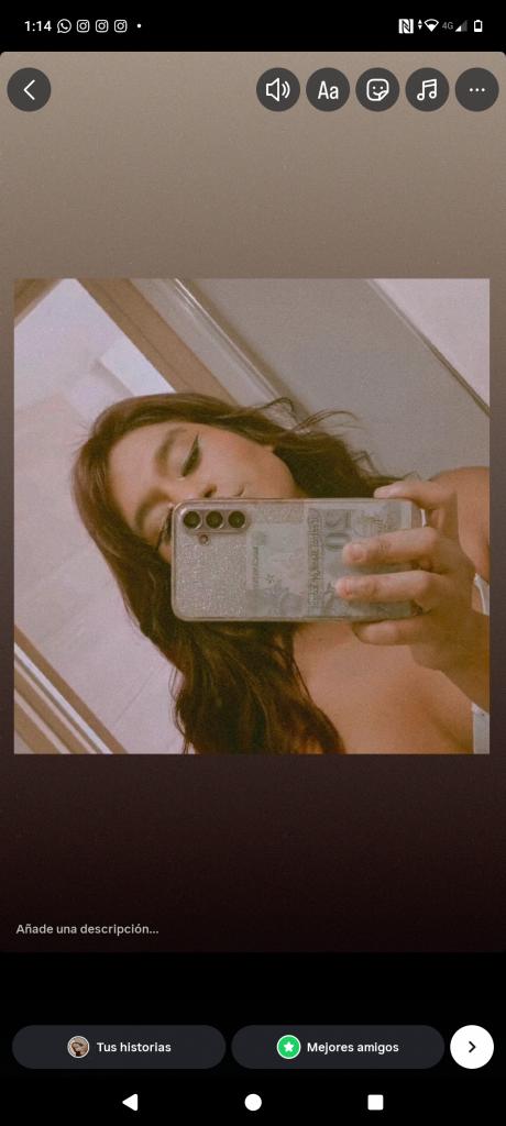 Travesti en Guipúzcoa: 