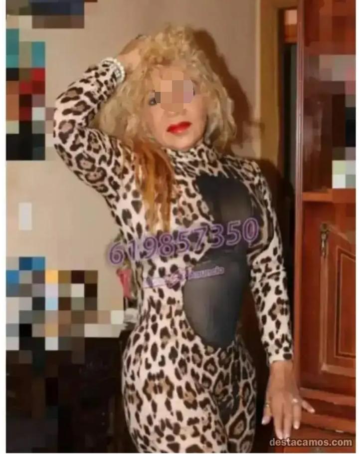 Chica busca chico en Guipúzcoa: 