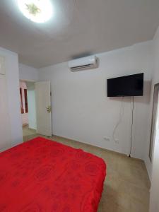 654969564:  en Alicante